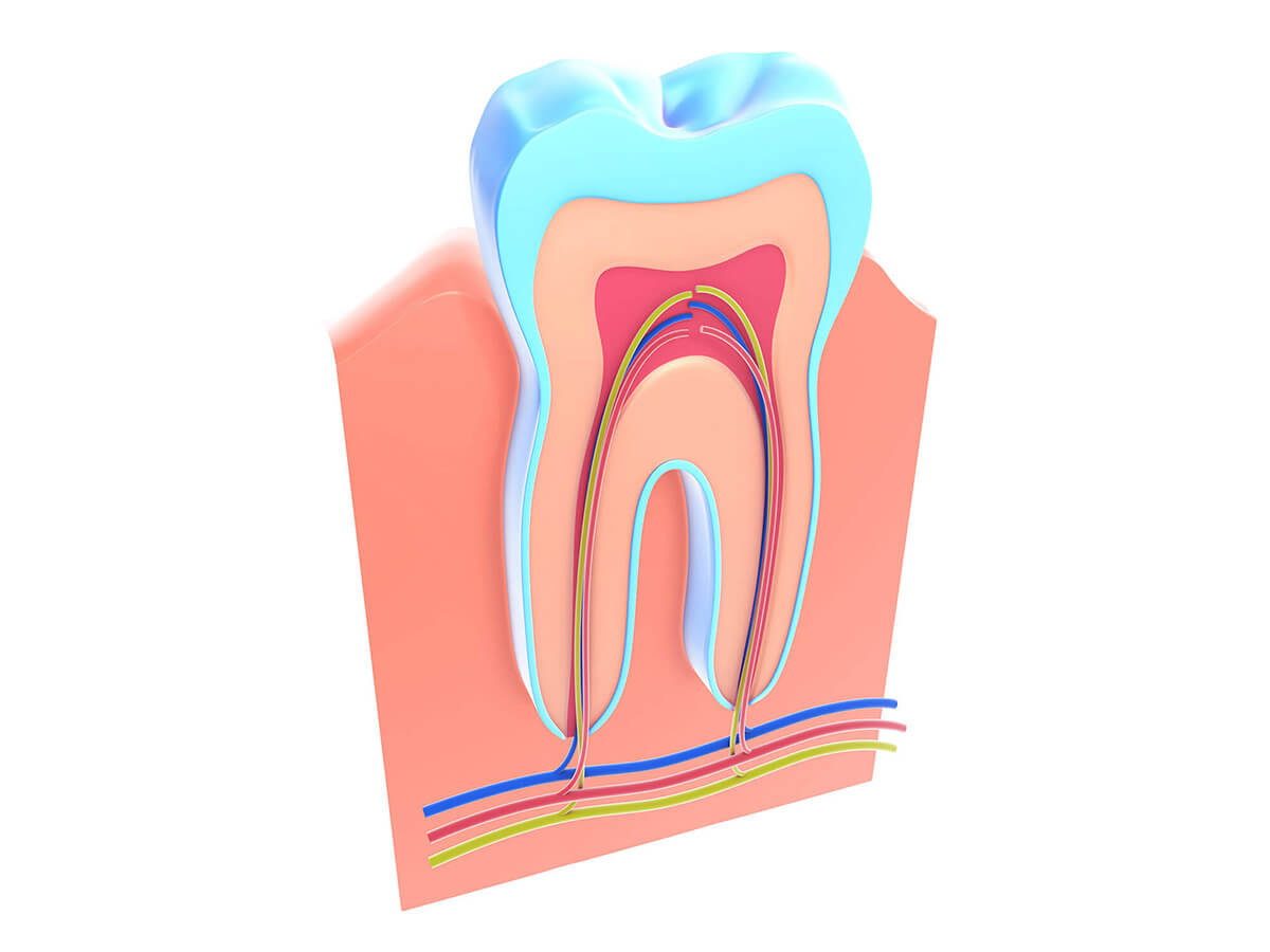 Root Canal Treatment